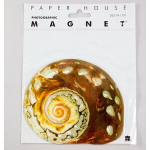 Photographic Seashell Magnet By Paper House Productions 001